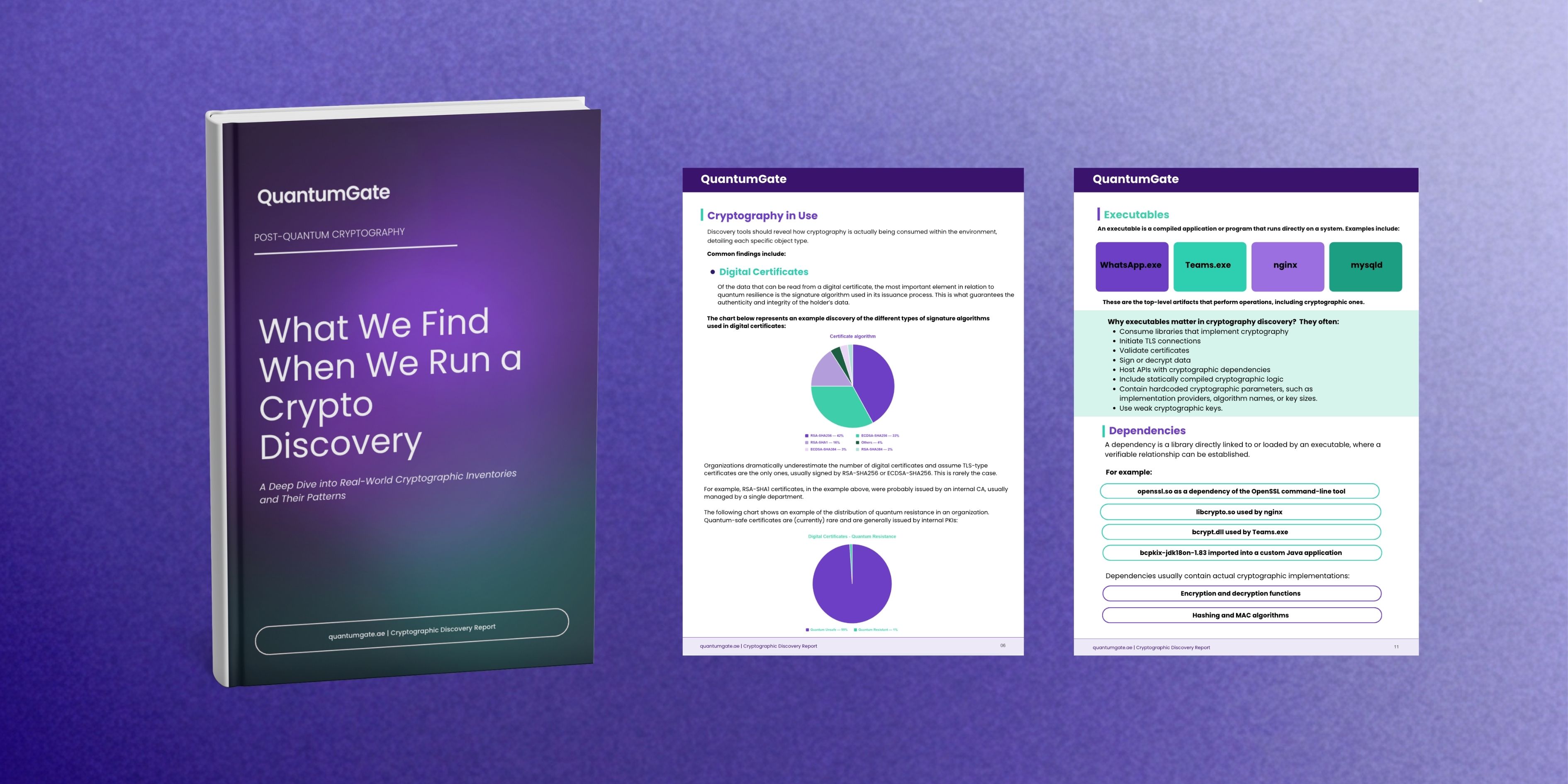 What We Find When We Run a Crypto Discovery: Common Findings Across Environments
