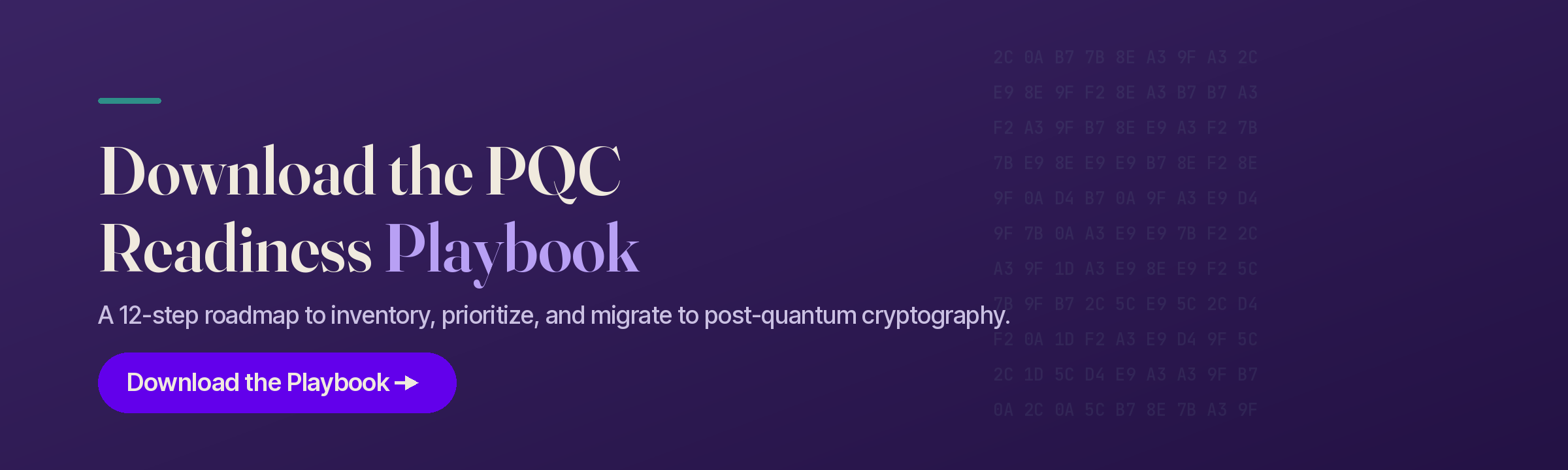 Download the PQC Readiness Playbook: a 12-step roadmap to inventory, prioritize, and migrate to post-quantum cryptography
